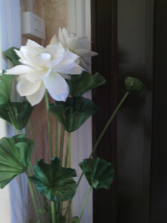 Ostiense Guest House Rome Extérieur photo
